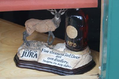 IMG_0692JuraHirsch.jpg