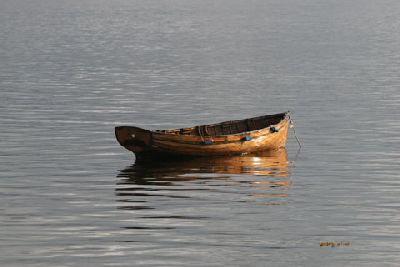 IMG_0689Ruderboot.jpg
