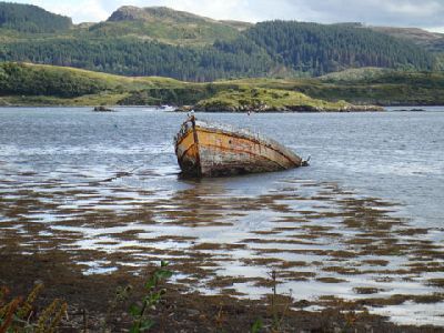 DSC07544Wrack.jpg