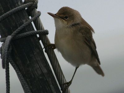 k-IMG_3610B.jpg