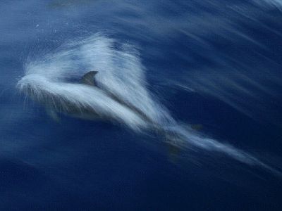 k-IMG_4453  BBBbb.jpg