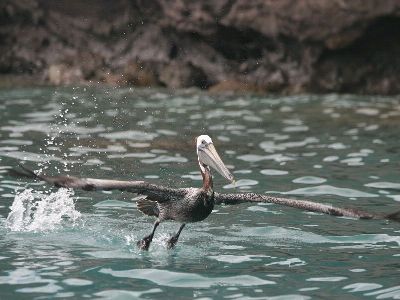 Kopie von k-IMG_5178.jpg