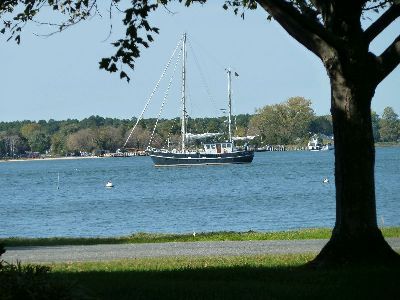 P1050031.JPG